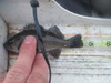 Smallrockfish thumb