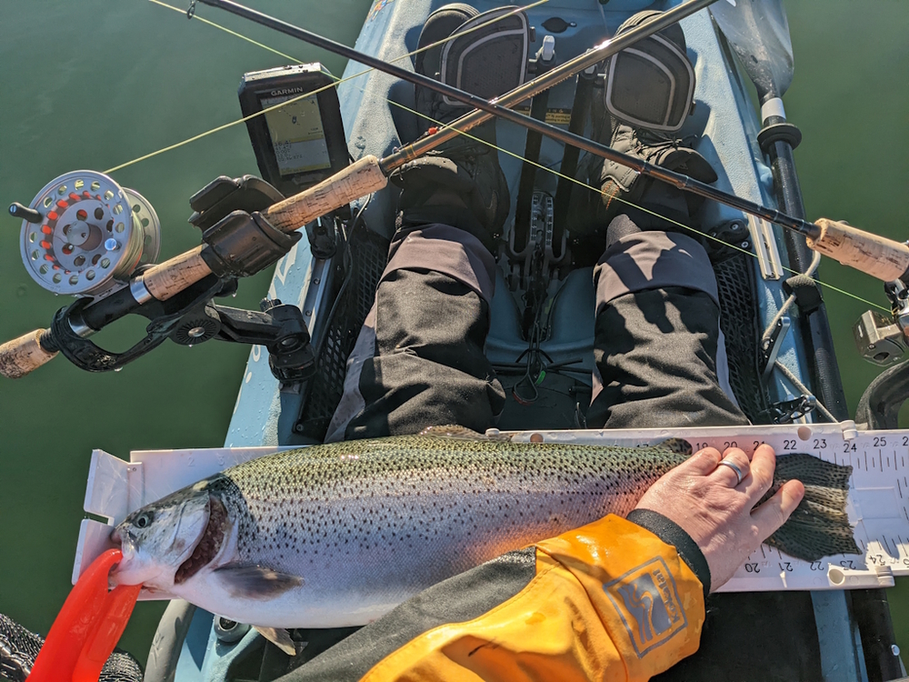 Aoty 2023 fall trout gear 1