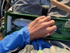 Flykokanee11.5 thumb