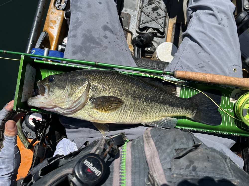 Flylargemouth18.25