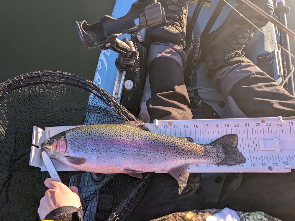 Aoty 2025 trout fly 1