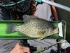 Panfish14.5 thumb