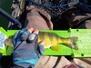 1000002120 thumb