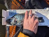 Aoty 2026 panfish 1 thumb