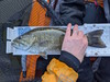 Aoty 2026 smallmouth 1 thumb