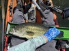 Largemouth21 thumb