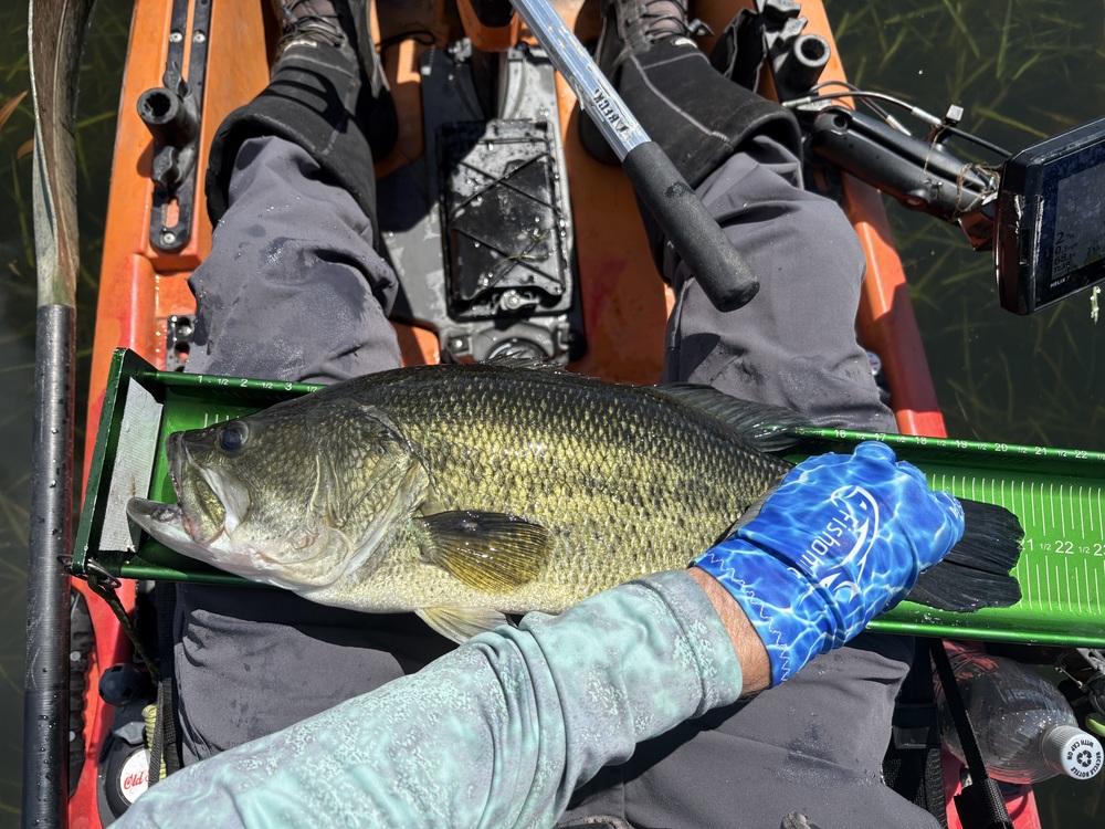 Largemouth21