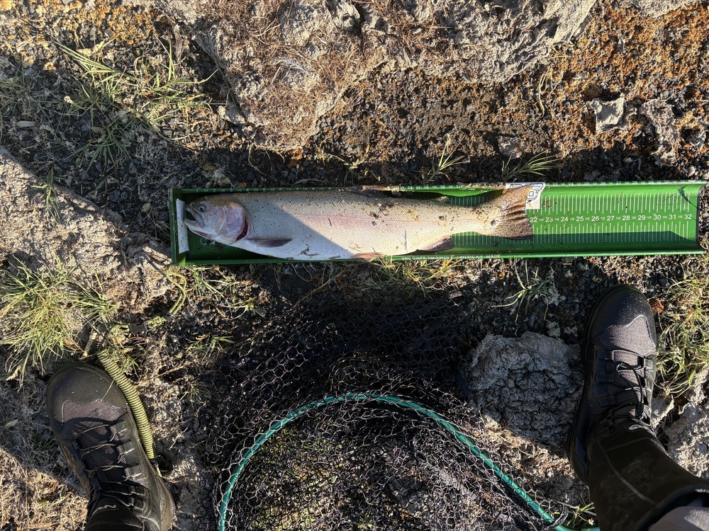 Cutthroat22